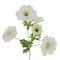 25" White Ranunculus Stem by Ashland®